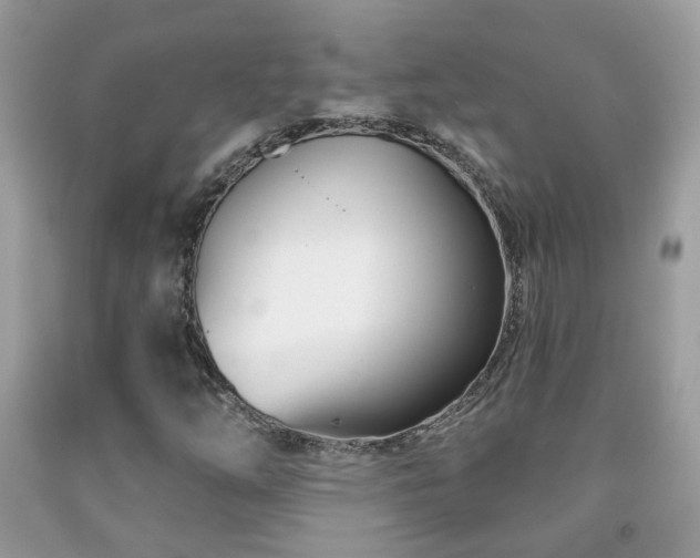 X0000091991254200709061411