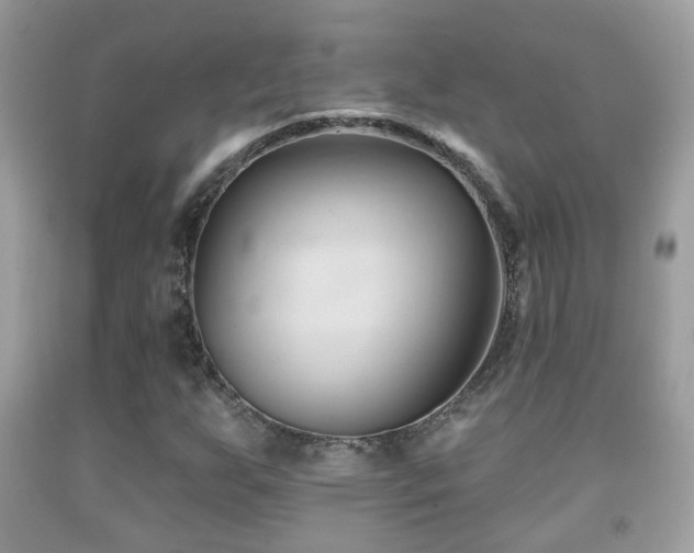 X0000091991255200709061411