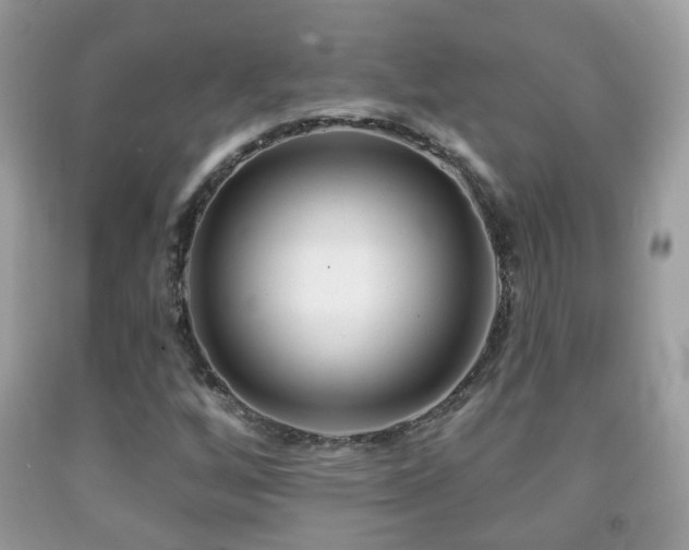 X0000091991256200709061411