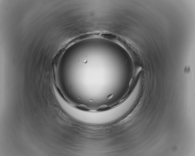X0000091991257200709061411