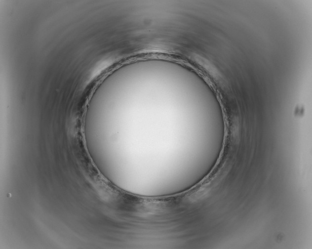 X0000091991258200709061411
