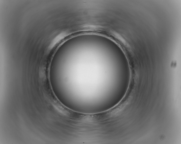 X0000091991259200709061411