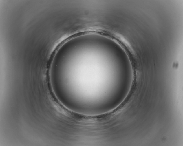 X0000091991260200709061411