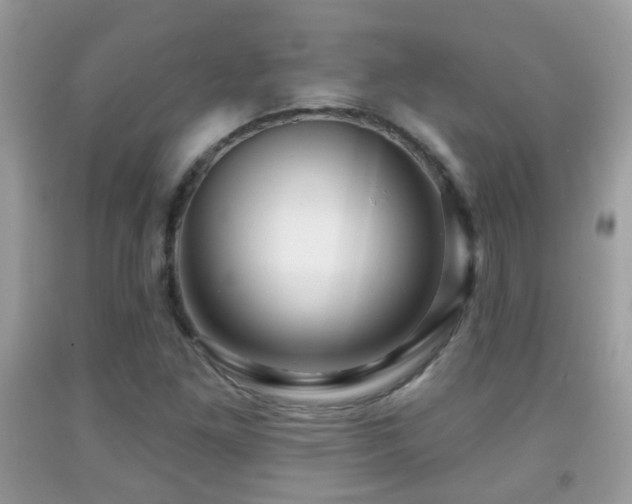 X0000091991261200709061411