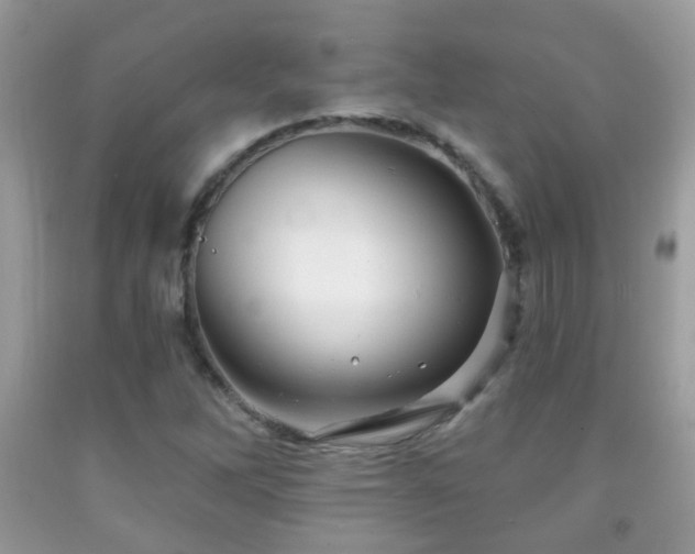 X0000091991262200709061411