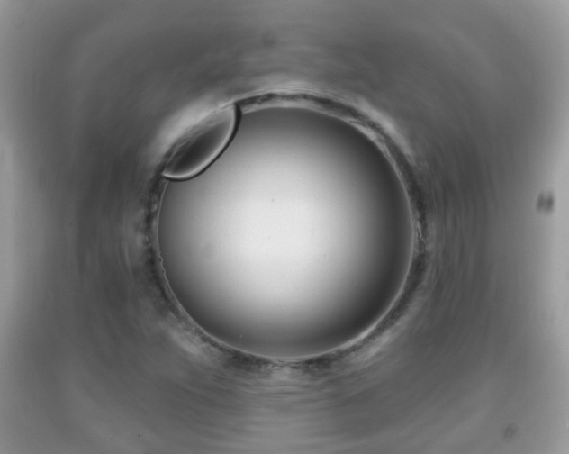 X0000091991263200709061411