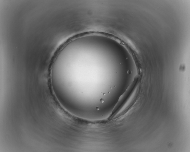 X0000091991264200709061411