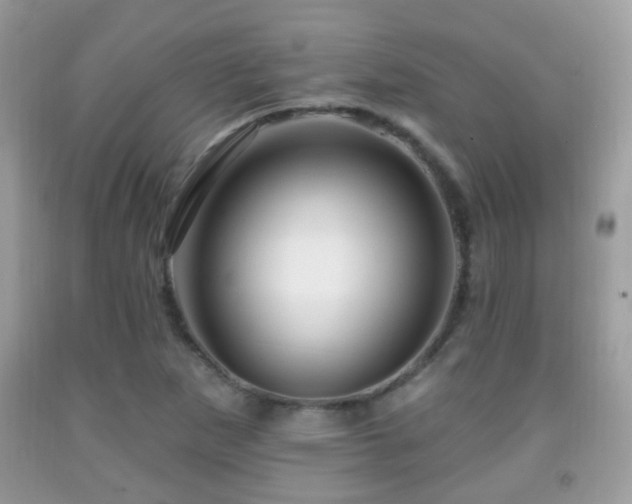 X0000091991265200709061411