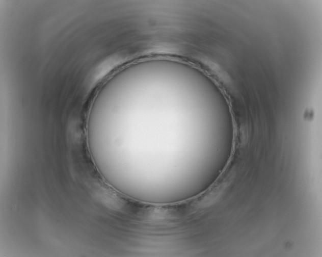 X0000091991266200709061411