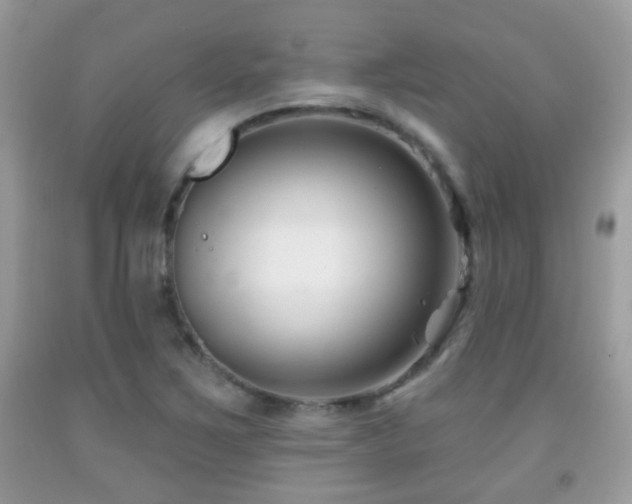 X0000091991267200709061411