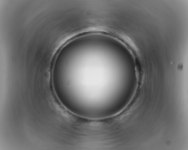 X0000091991268200709061411