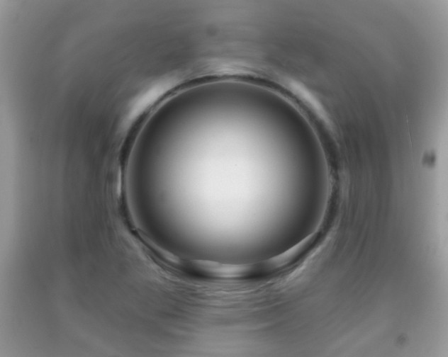 X0000091991269200709061411