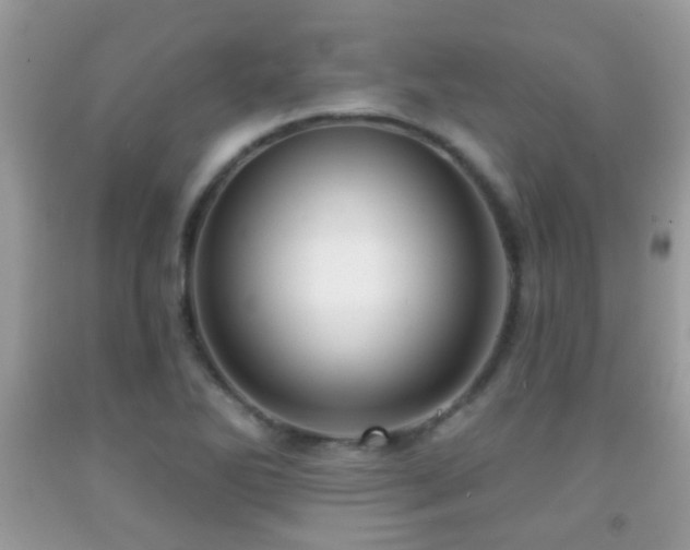 X0000091991270200709061411