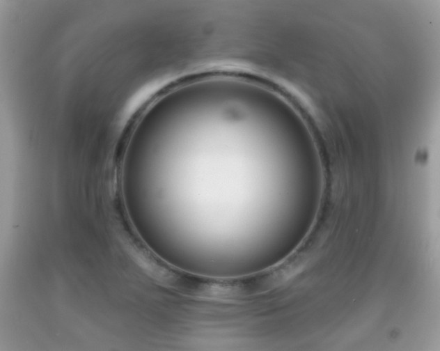 X0000091991271200709061411