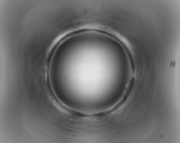 X0000091991272200709061411