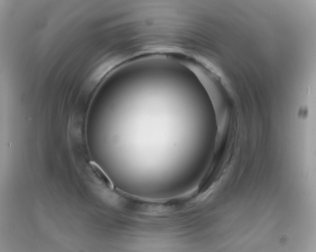 X0000091991273200709061411