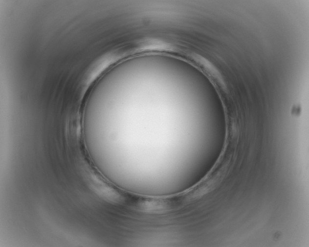 X0000091991274200709061411