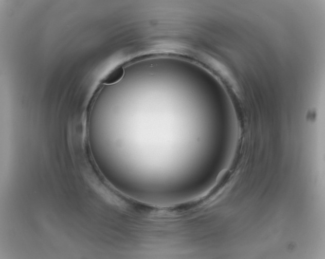 X0000091991275200709061411