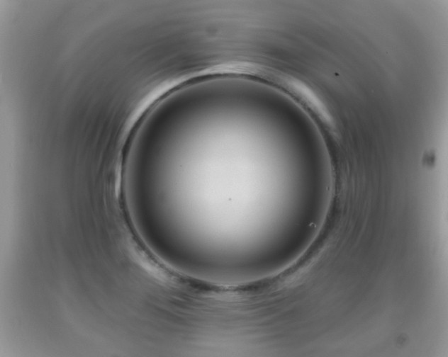 X0000091991276200709061411
