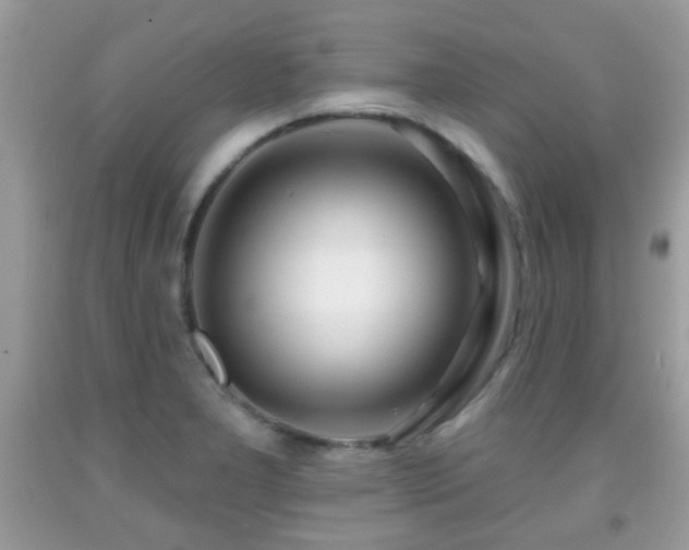 X0000091991277200709061411
