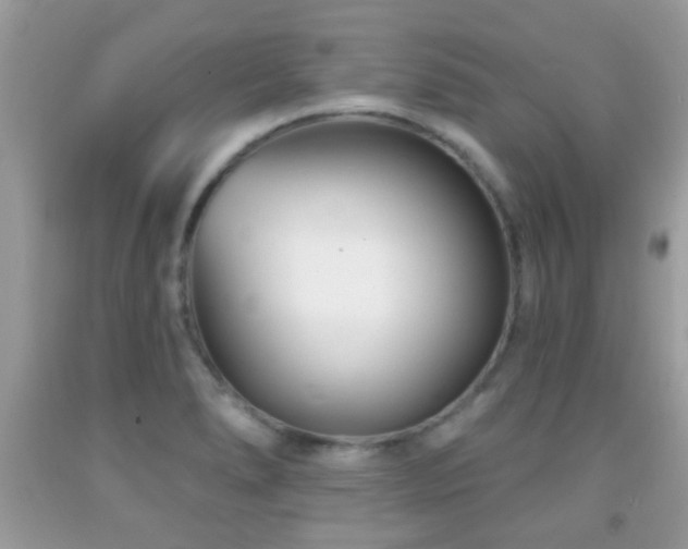X0000091991278200709061411