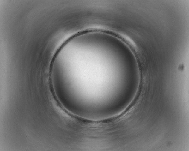 X0000091991279200709061411