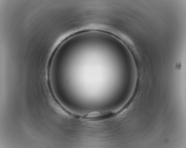 X0000091991280200709061411