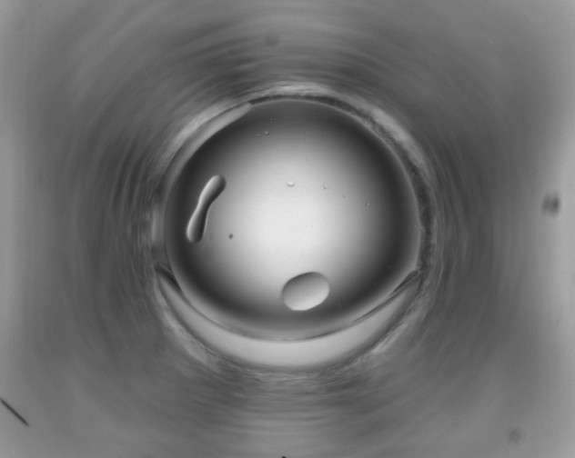 X0000091991281200709061411
