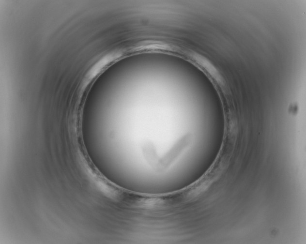 X0000091991282200709061411