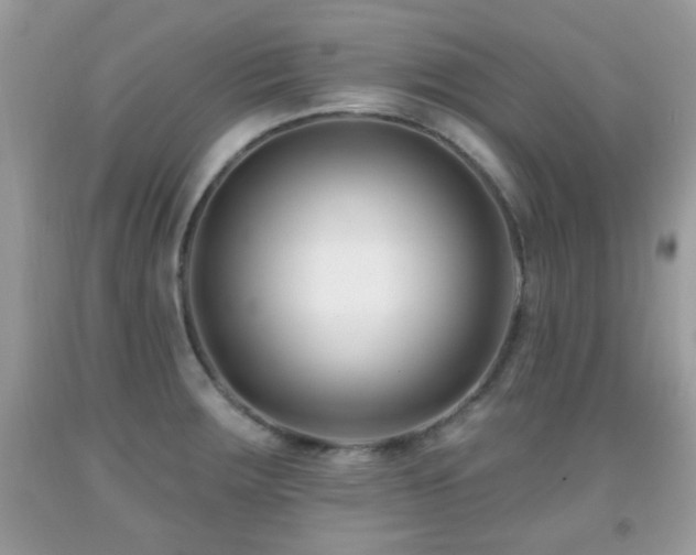 X0000091991283200709061411