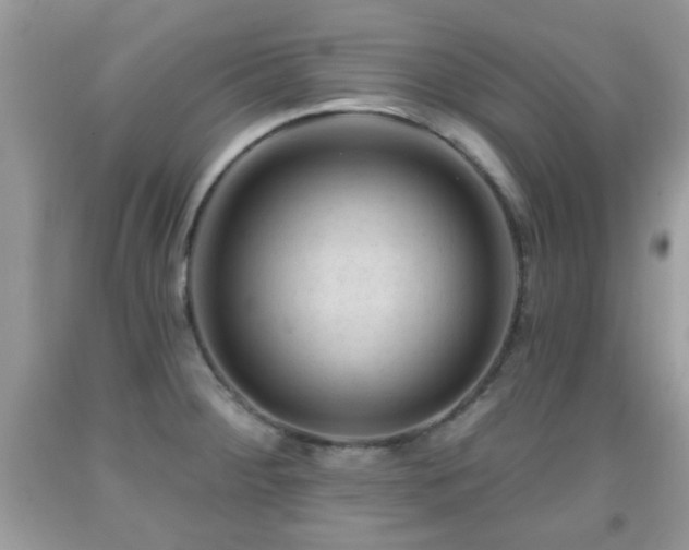 X0000091991284200709061411
