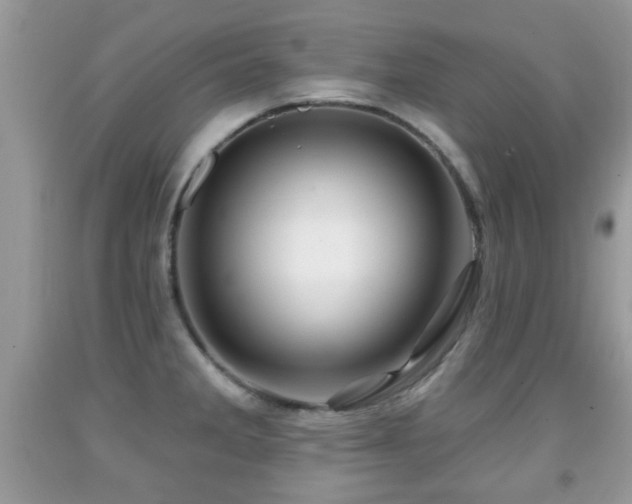 X0000091991285200709061411
