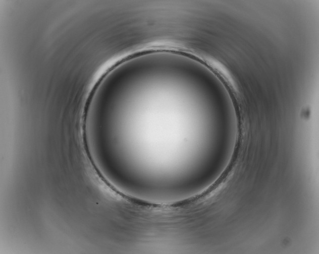 X0000091991288200709061411