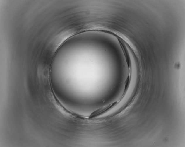 X0000091991289200709061411