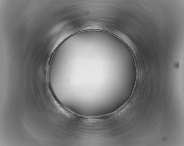 X0000091991290200709061411