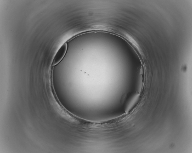 X0000091991291200709061411