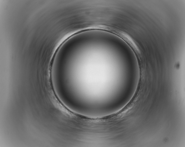 X0000091991292200709061411