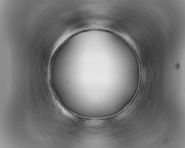 X0000091991294200709061411