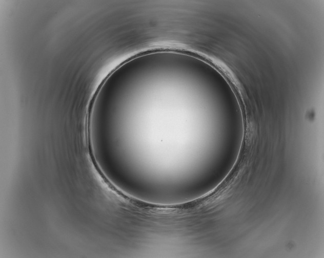 X0000091991295200709061411