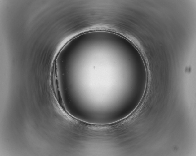 X0000091991296200709061411