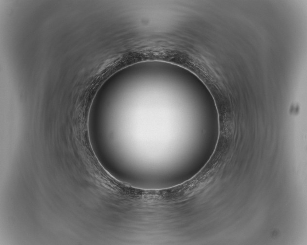 X0000091991297200709061410
