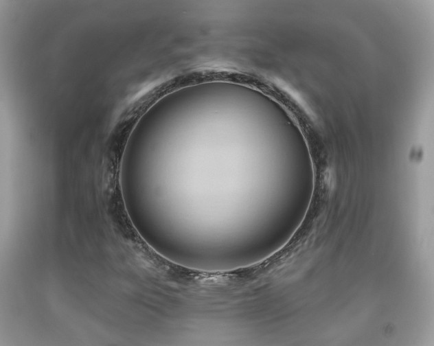 X0000091991303200709061410