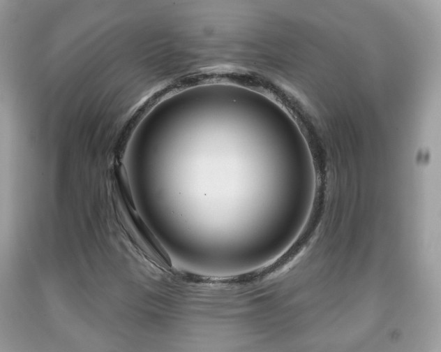 X0000091991305200709061410