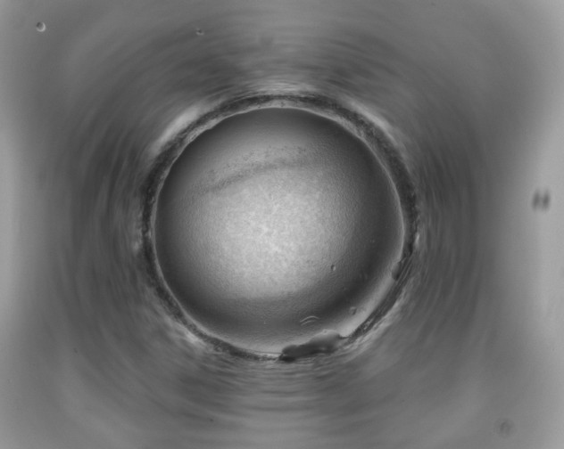 X0000091991306200709061410