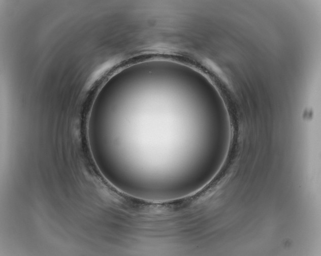 X0000091991307200709061410