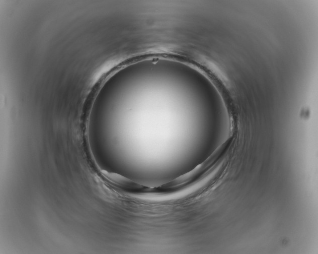 X0000091991308200709061410