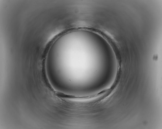 X0000091991309200709061410