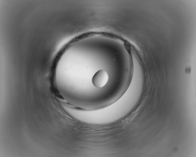 X0000091991311200709061410