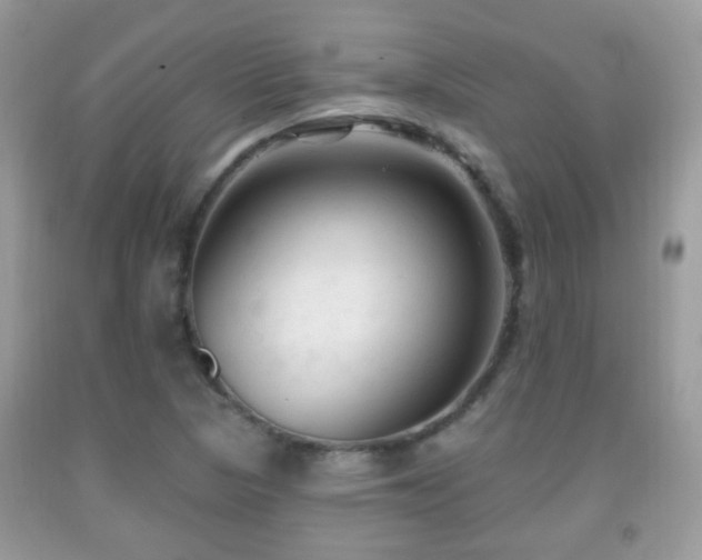 X0000091991313200709061410