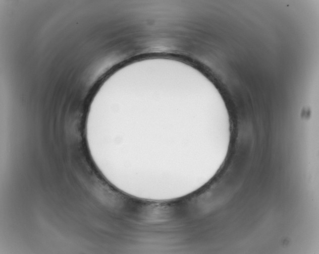 X0000091991314200709061410